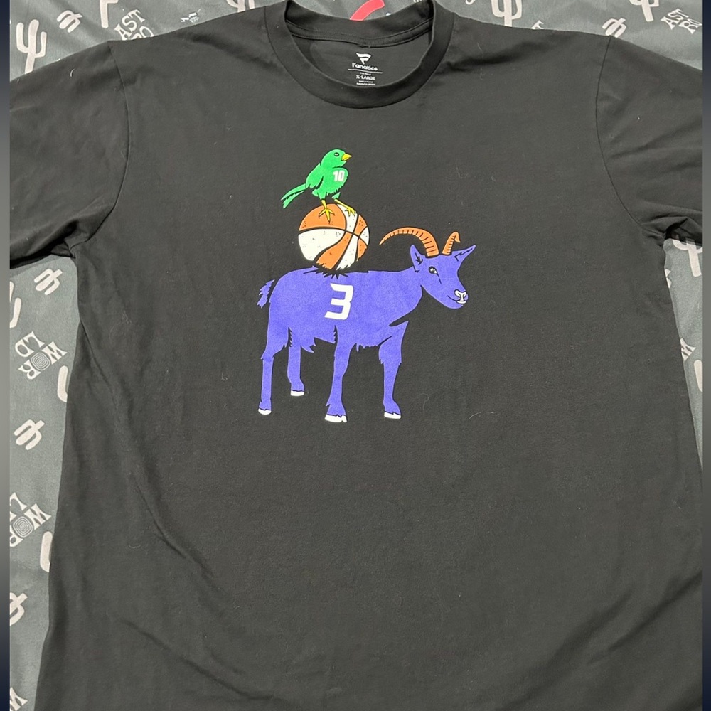Diana taurasi and sue bird shirt
